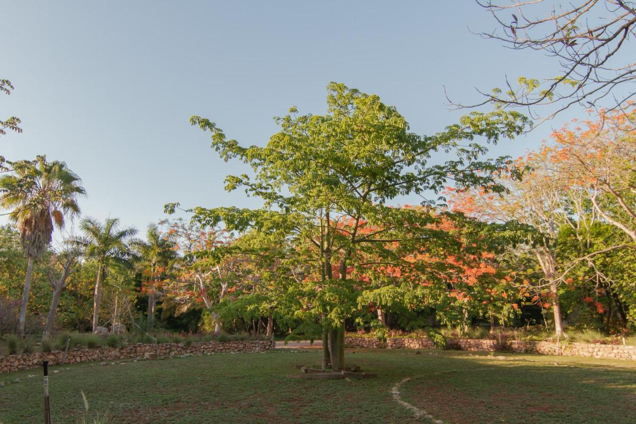 Hacienda Shambalante Bed & Breakfast Izamal Exterior photo